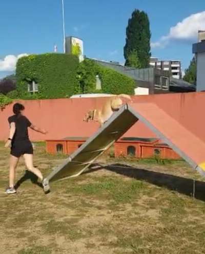 14. Handyfoto-Challenge: "BUDDY-Builder"-Beitrag-Bild