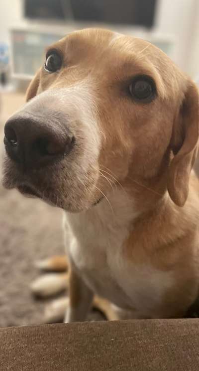 Doppelgänger gesucht !-Beitrag-Bild