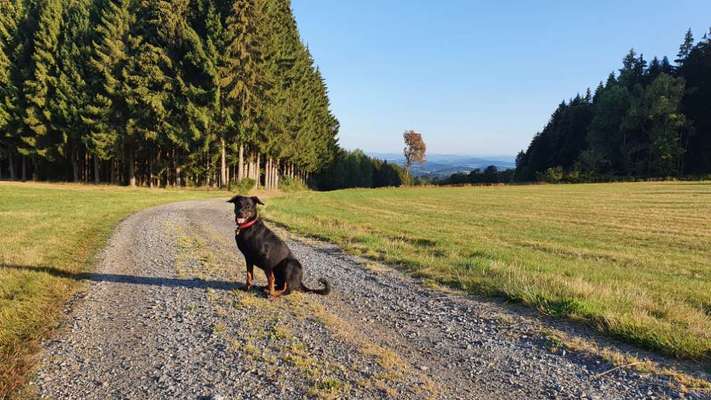 Fotochallenge Nr.100 Urlaubsimpressionen-Beitrag-Bild