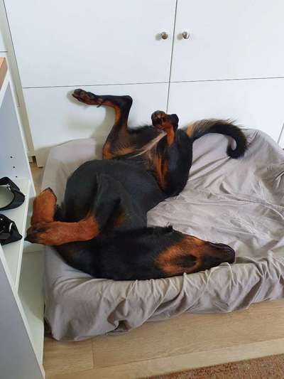 Verrückte Schlafpositionen-Beitrag-Bild