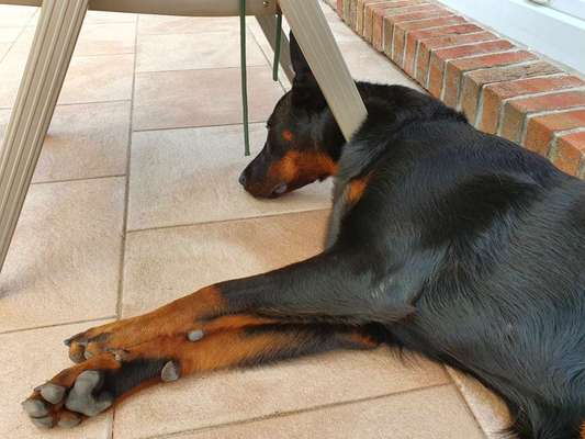 28. Handy-Fotochallenge - Damals und heute-Beitrag-Bild