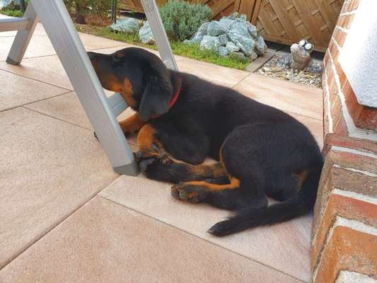 28. Handy-Fotochallenge - Damals und heute-Beitrag-Bild