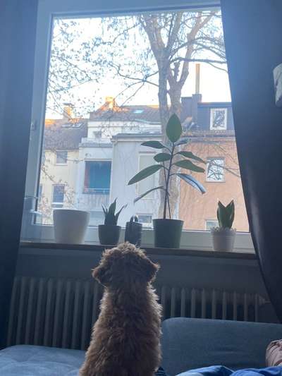 120. Fotochallenge-Beitrag-Bild