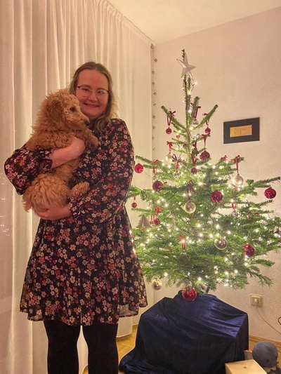 Dogorama Photo Challenge - Bescherung-Beitrag-Bild