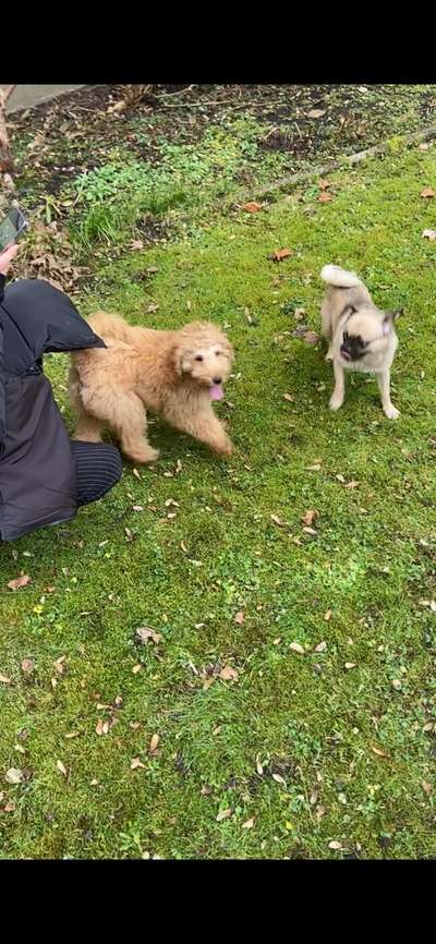 Foto Challenge Nr.: 115-Beitrag-Bild