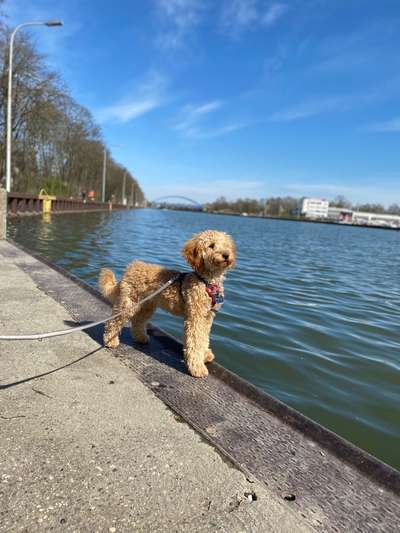 10. Farben Foto-Challenge ---- Blau-Beitrag-Bild