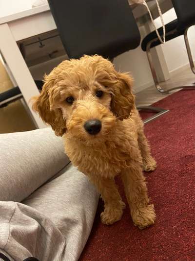 28. Handy-Fotochallenge - Damals und heute-Beitrag-Bild