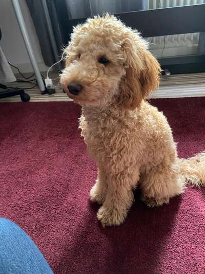 Impulskontrolle Challenge Nr 9 "Unbeobachtet"-Beitrag-Bild