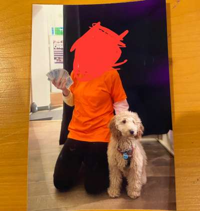 Impulskontrolle Challenge Nr.: 7
         "Gesellschaftsfähig"-Beitrag-Bild