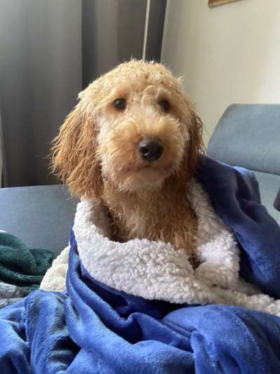 Foto Challenge Nr.133-Beitrag-Bild