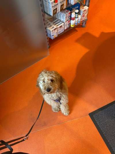 Impulskontrolle Challenge Nr.: 7
         "Gesellschaftsfähig"-Beitrag-Bild