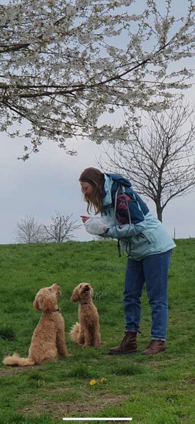 Fotochallenge 130-Beitrag-Bild