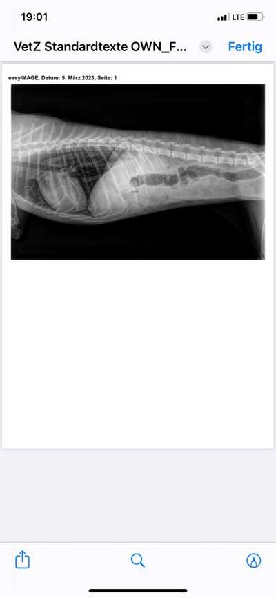 Wiederkehrendes Erbrechen-Beitrag-Bild