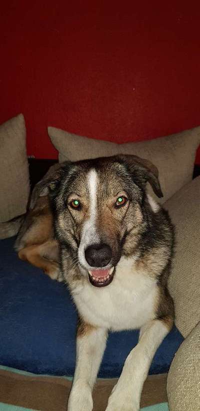 Lieblingsbild-Beitrag-Bild