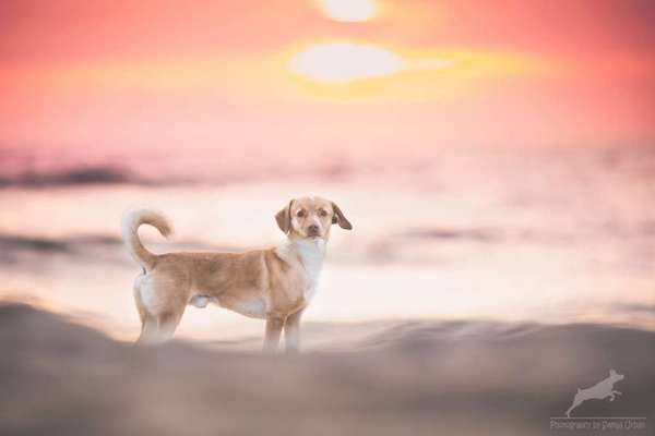 Austausch zur Fotografie-Beitrag-Bild