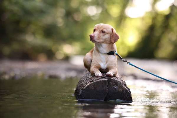 Austausch zur Fotografie-Beitrag-Bild