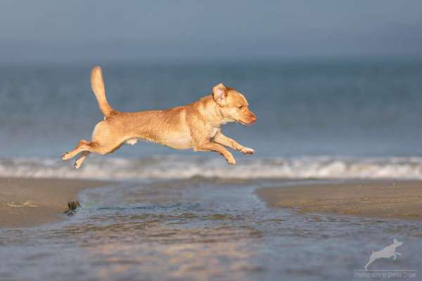 Austausch zur Fotografie-Beitrag-Bild
