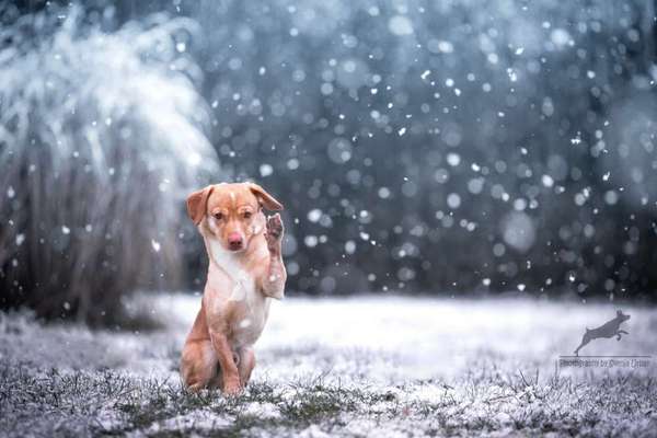 Austausch zur Fotografie-Beitrag-Bild
