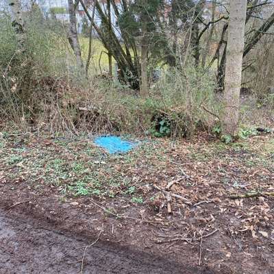 Giftköder-Rattengift im Sachsenrain-Bild