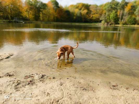 Foto Challenge - BEENDET - bitte aktuelle Challenge nutzen-Beitrag-Bild