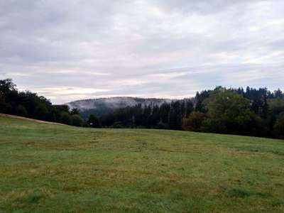 Hundeauslaufgebiet-Pechberg Schmitten-Bild