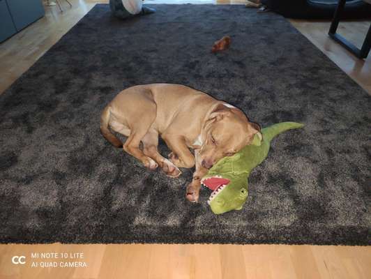 Foto Challenge die Vierte-Beitrag-Bild