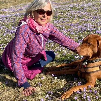 Hundetreffen-Leichte Bergwanderungen mit Hund-Bild