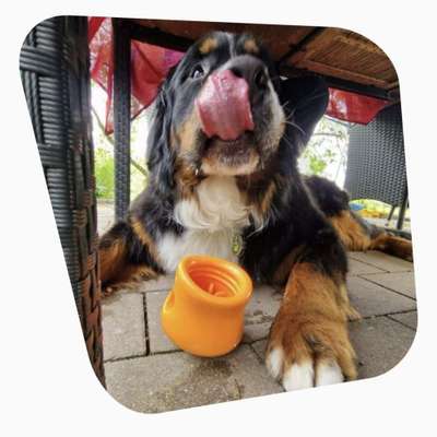 %{de_profession_title}-Rationsprüfung-Bild