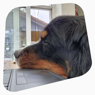 %{de_profession_title}-Erstberatung-Bild