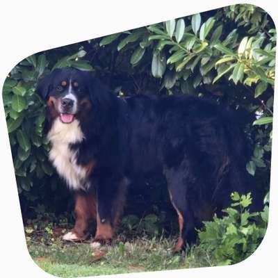 %{de_profession_title}-Ernährungsberatung-Bild