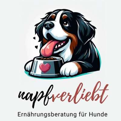 Ernährungsberater-napfverliebt - Ernährungsberatung für Hunde-Bild