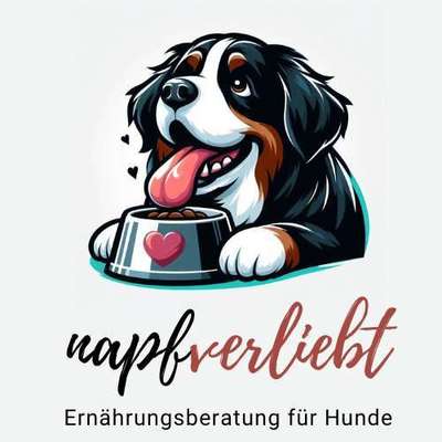 Ernährungsberater napfverliebt - Ernährungsberatung für Hunde in Rauschenberg  – Dogorama