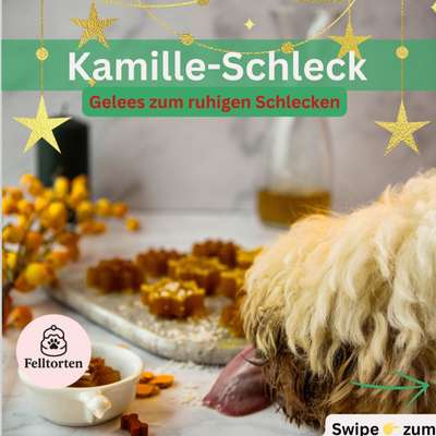 aktuelles Foto Gruppe Backen für Hunde