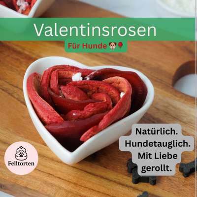 aktuelles Foto Gruppe Backen für Hunde