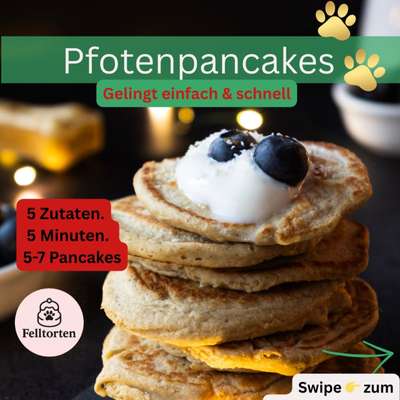 aktuelles Foto Gruppe Backen für Hunde