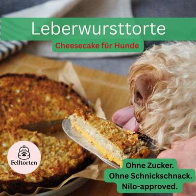 aktuelles Foto Gruppe Backen für Hunde