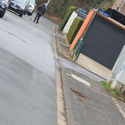 Giftköder-Besitzer Versprüht unbekanntes Zeug !!!-Bild