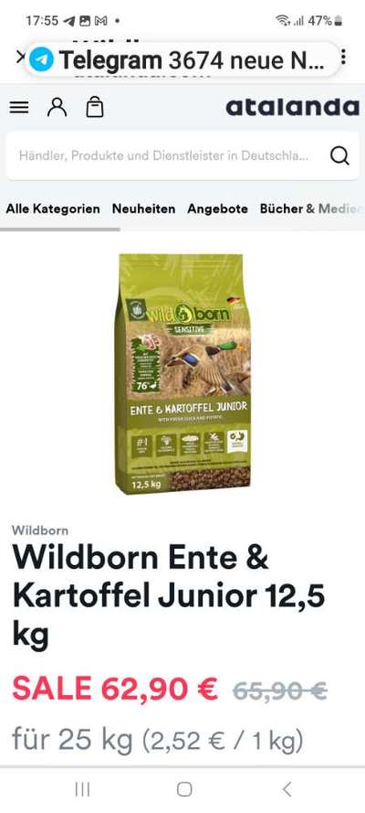 Trockenfutter für Junghund gesucht-Beitrag-Bild