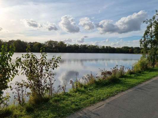 Hundeauslaufgebiet-Ölbachtal Ümminger See-Bild