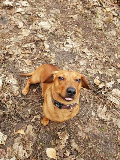 Zeigt mir eure Lieblingsfotos ♡♡-Beitrag-Bild