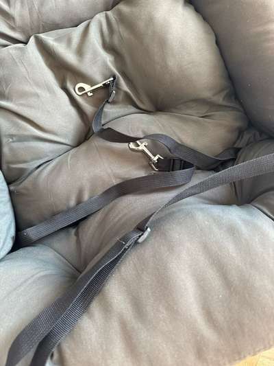 Hunde-Autositz Gr. M-Beitrag-Bild