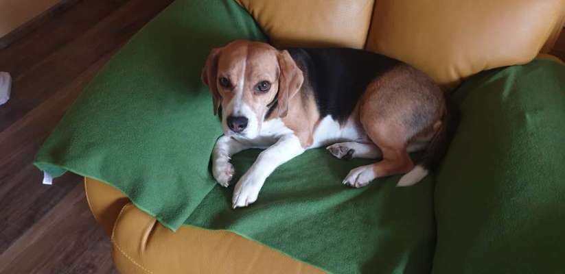 In welchem bundesland lebt ihr-Beitrag-Bild