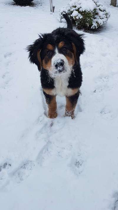 Lustige Grimassen & verrückte Posen-Beitrag-Bild