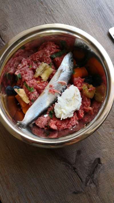 Zeigt her Eure Futternäpfe-Beitrag-Bild