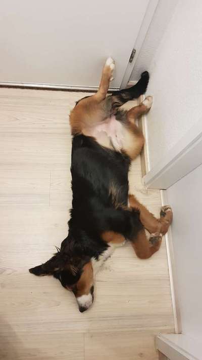 Lustige Grimassen & verrückte Posen-Beitrag-Bild