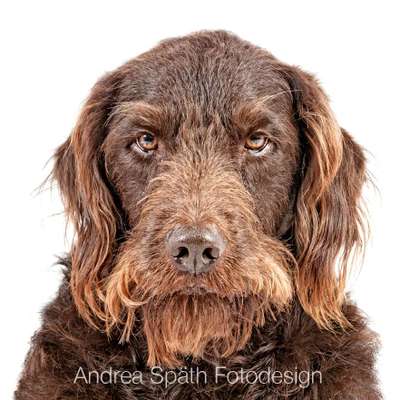 Tierfotografen-Andrea Späth Fotodesign-Bild