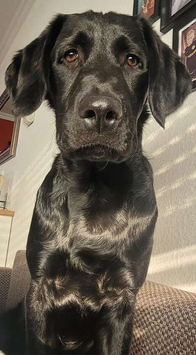 147. Foto Challenge: Bettelblick-Beitrag-Bild