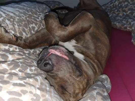 Die unbequemsten und lustigsten Schlafpositionen-Beitrag-Bild