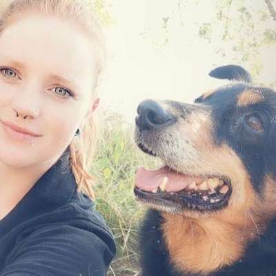 Hundetreffen-Gemütliche Gassirunden-Bild