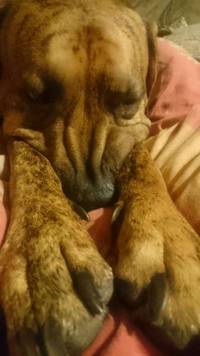 Die unbequemsten und lustigsten Schlafpositionen-Beitrag-Bild